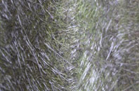 Woodstock fibreglass roof work